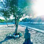 Azimute בית הארחה אלג'זור