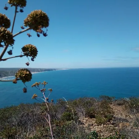 Azimute * 알제주르