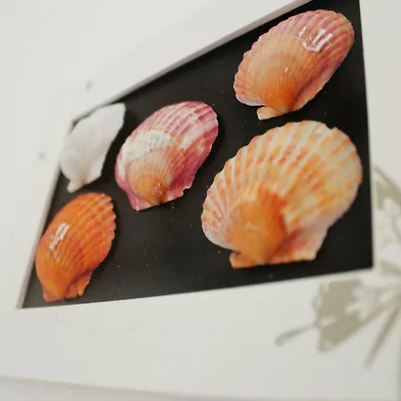 Azimute 게스트하우스 *